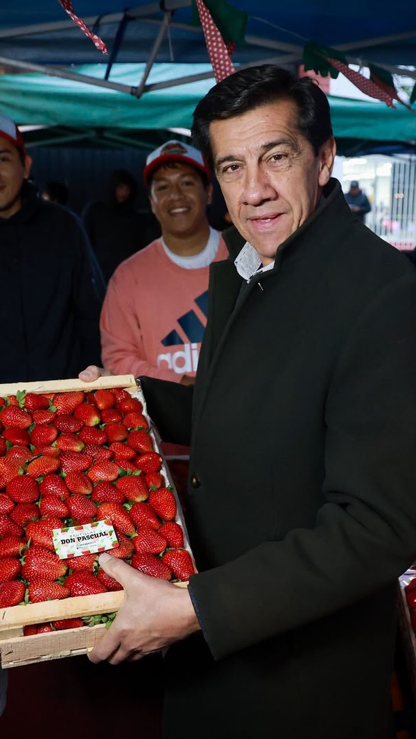 Imagen de la publicación de Carlos Sadir sobre segundo Frutillazo y proyecto logístico para la producción jujeña