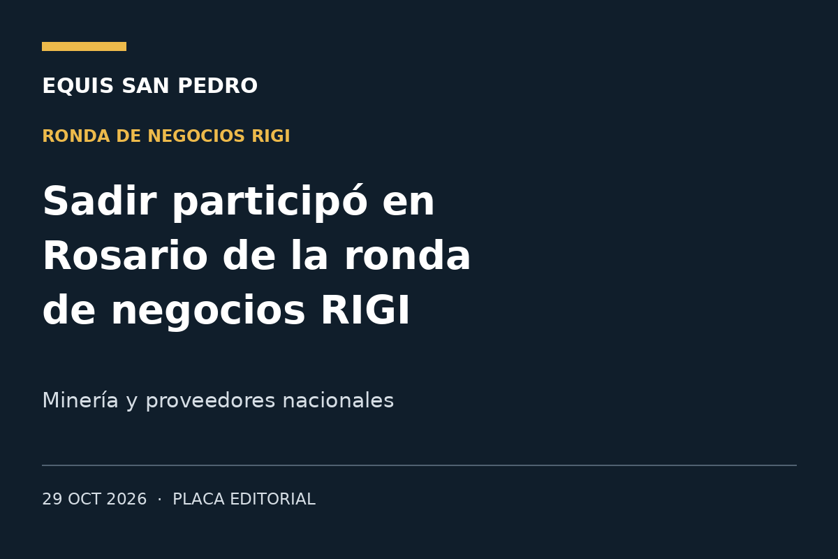 Placa editorial: Sadir participó en Rosario de la ronda de negocios RIGI